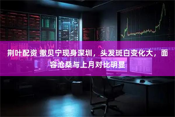 荆叶配资 撒贝宁现身深圳，头发斑白变化大，面容沧桑与上月对比明显