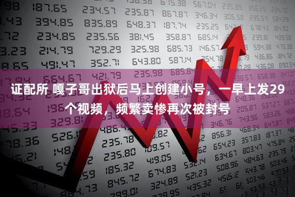 证配所 嘎子哥出狱后马上创建小号，一早上发29个视频，频繁卖惨再次被封号